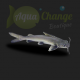 Arius seemani (poisson chat 'mini requin')