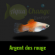 platy argent dos rouge